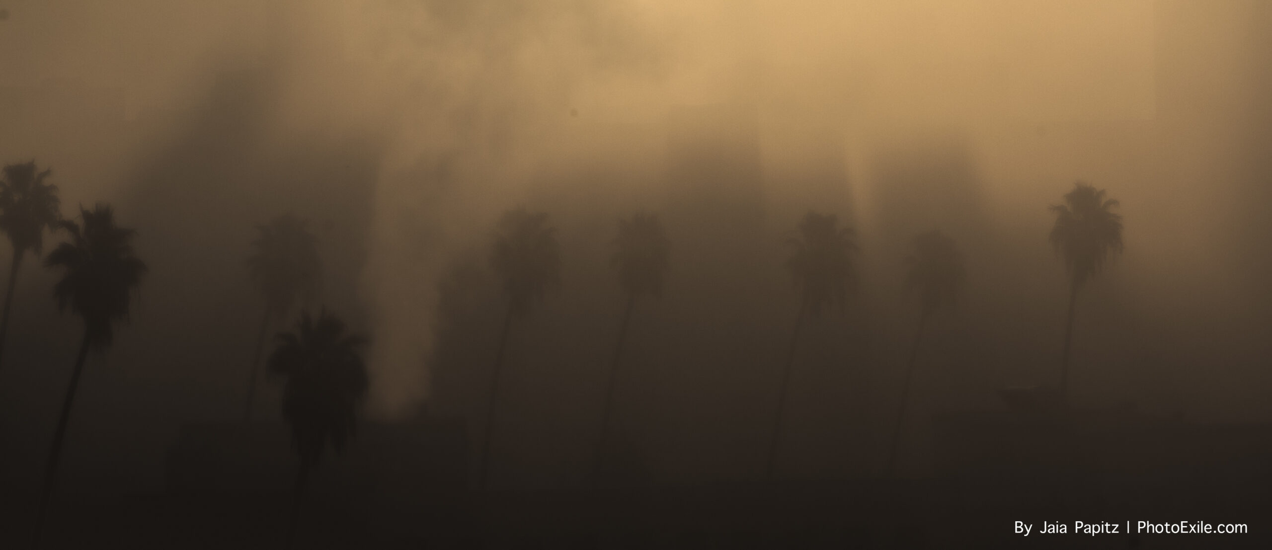 LA'S Rooftop — Cityscape series, photograph by Jaia Papitz