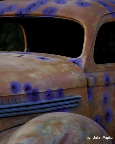 Clyde — Impromptu series, photograph by Jaia Papitz