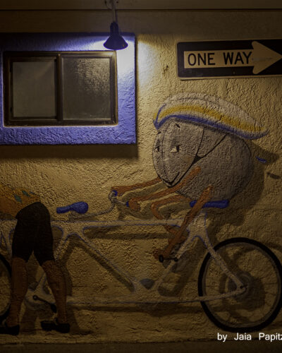 Petrified-ride — Impromptu series, photograph by Jaia Papitz