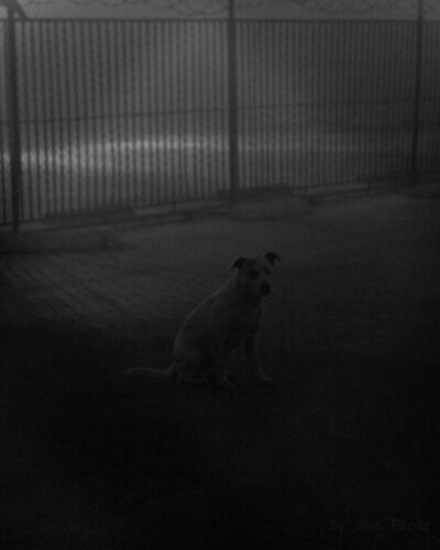 Enhumaned — Impromptu series, photograph by Jaia Papitz