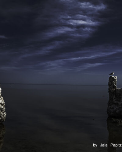 Ruin-keepers — Landscape / Nature series, photograph by Jaia Papitz