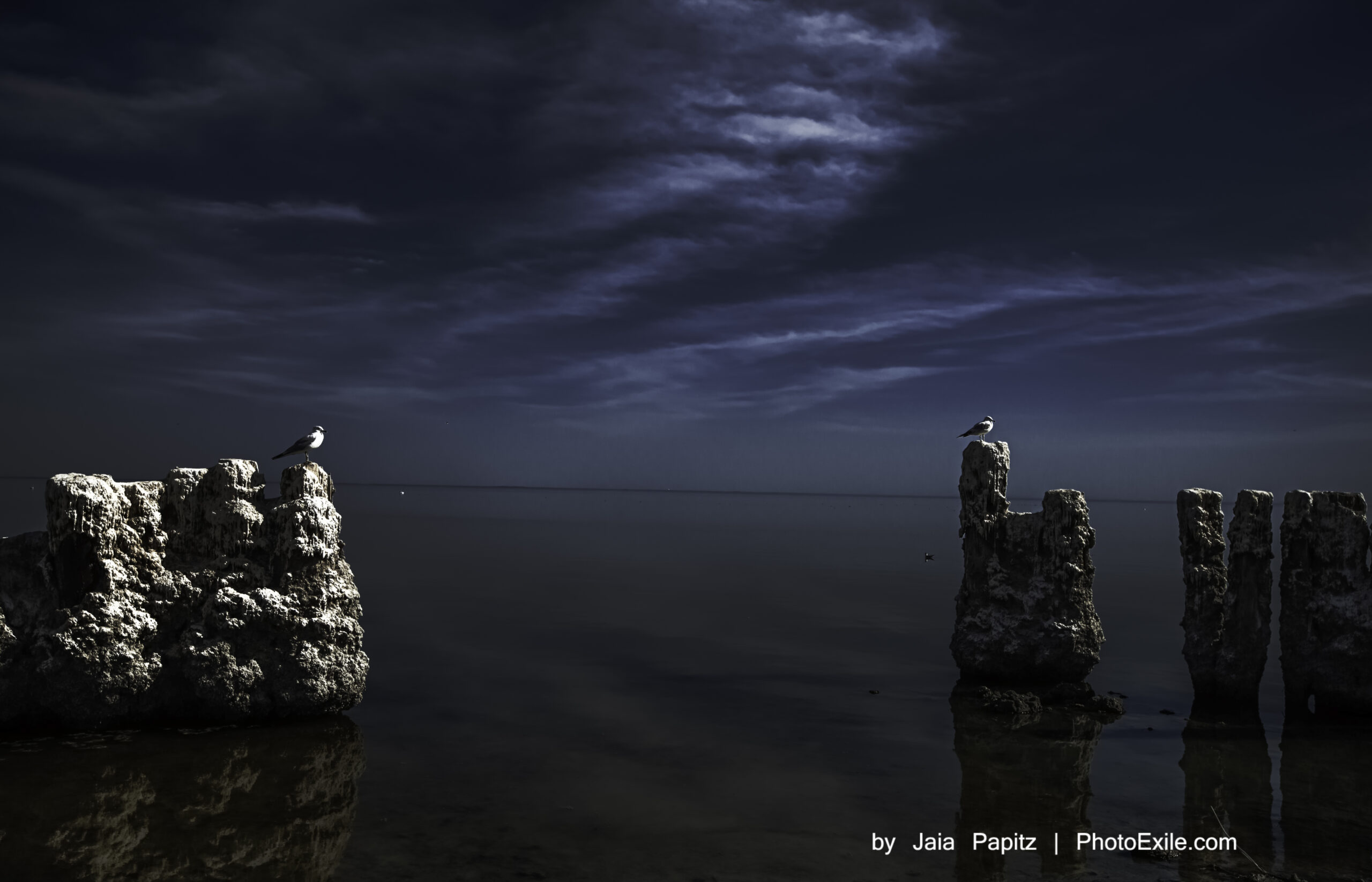 Ruin-keepers — Landscape / Nature series, photograph by Jaia Papitz