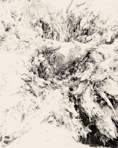 Degianted — Landscape / Nature series, photograph by Jaia Papitz
