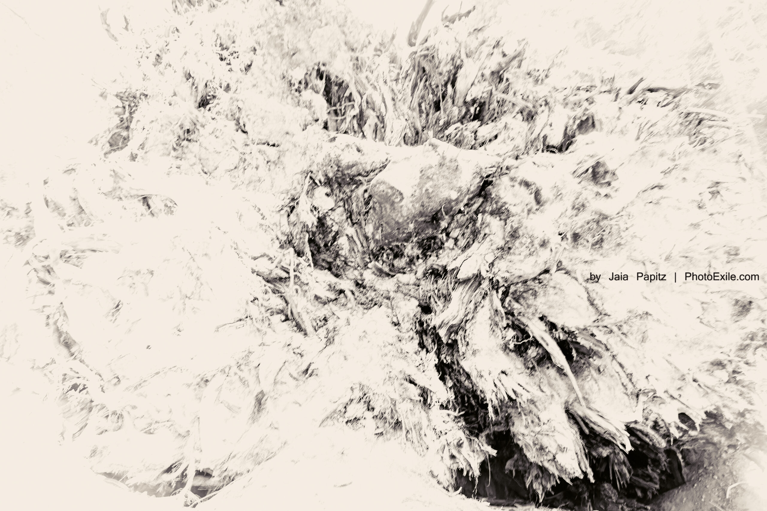 Degianted — Landscape / Nature series, photograph by Jaia Papitz