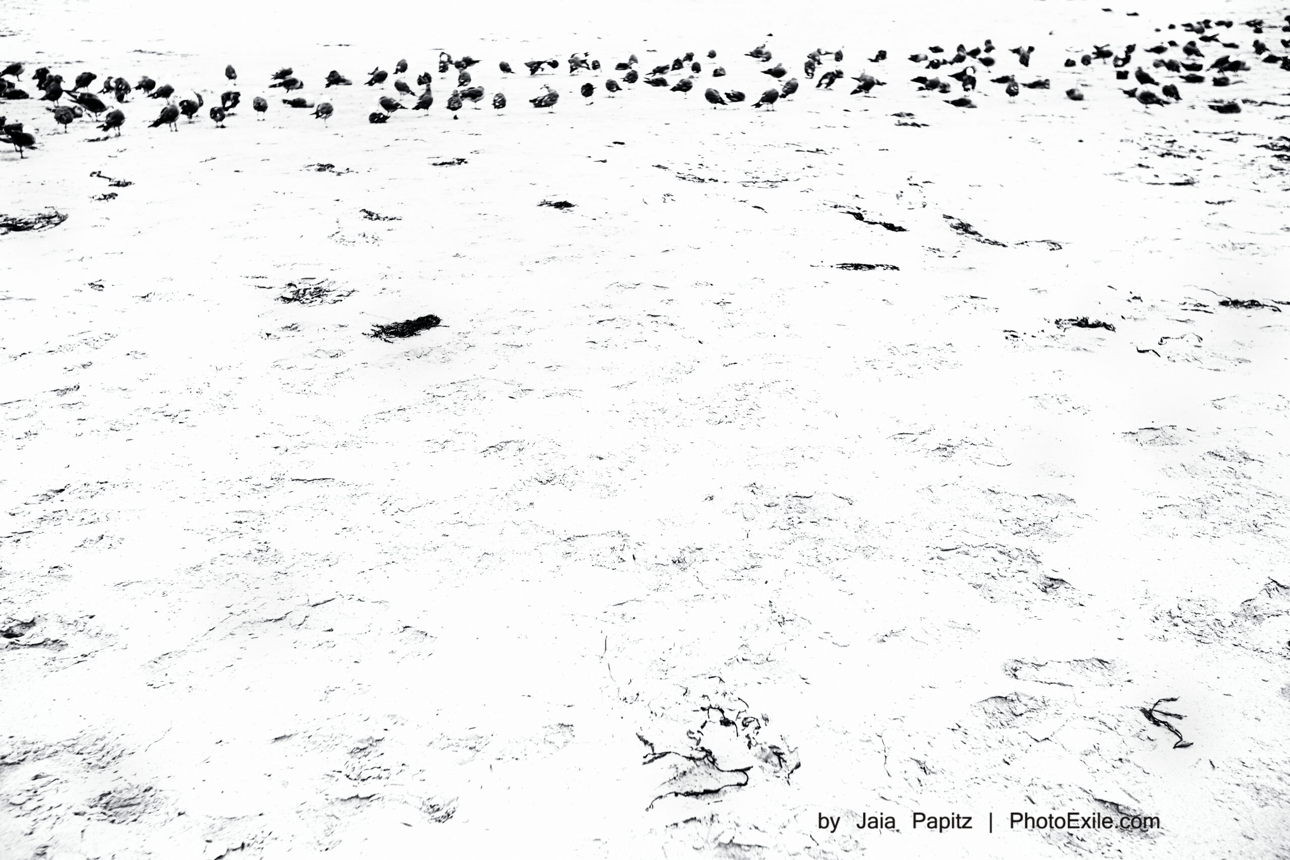 Flown — Landscape / Nature series, photograph by Jaia Papitz
