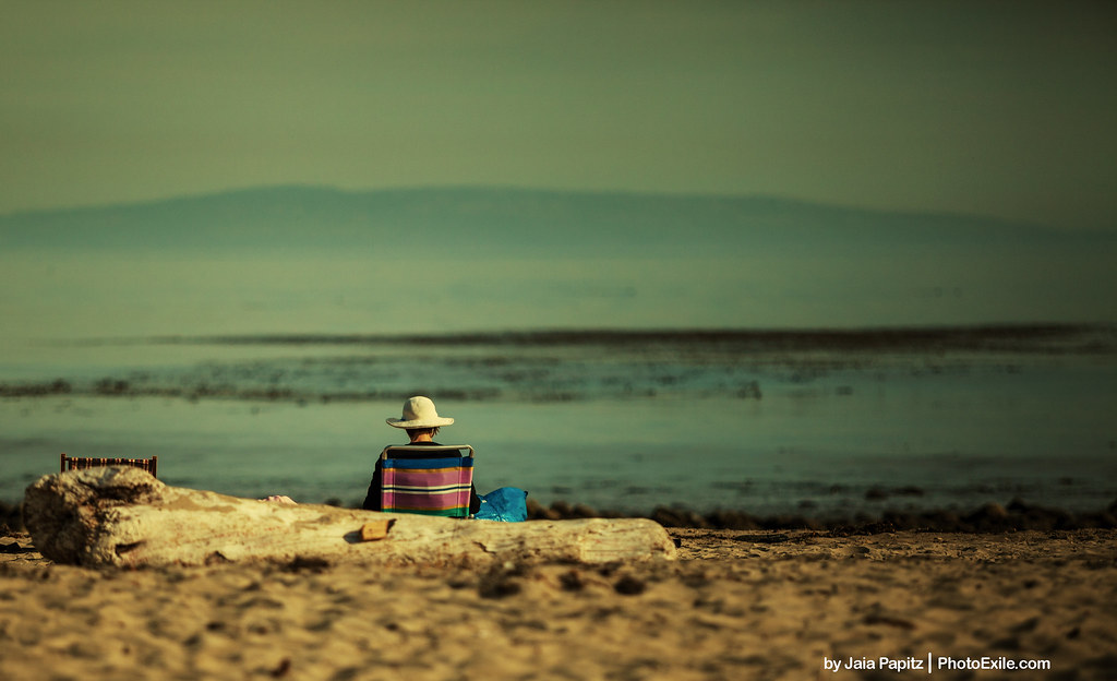 Flaunting-time — Landscape / Nature series, photograph by Jaia Papitz