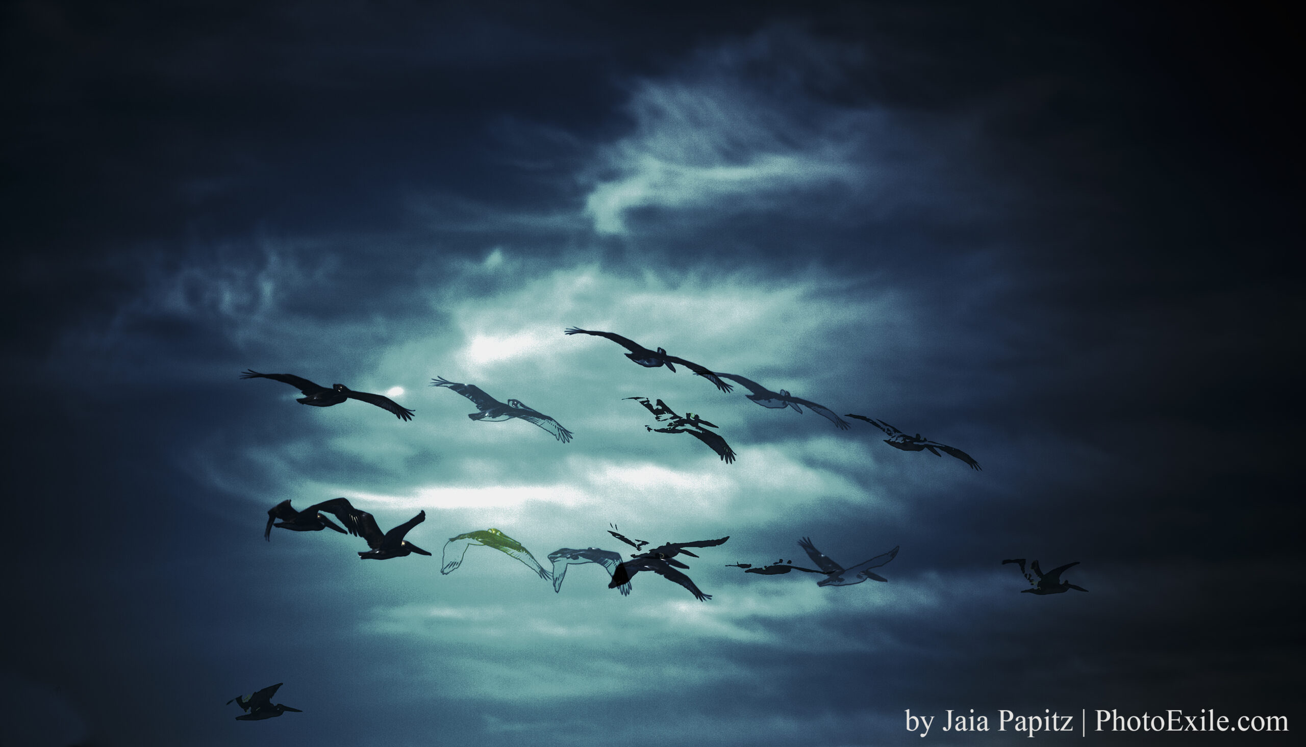 Ghost-Flight — Landscape / Nature series, photograph by Jaia Papitz