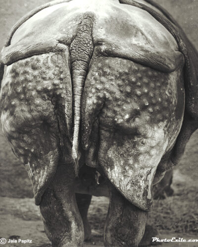 Kiss-me-like-you-mean-it — Landscape / Nature series, photograph by Jaia Papitz