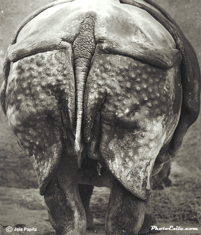Kiss-me-like-you-mean-it — Landscape / Nature series, photograph by Jaia Papitz