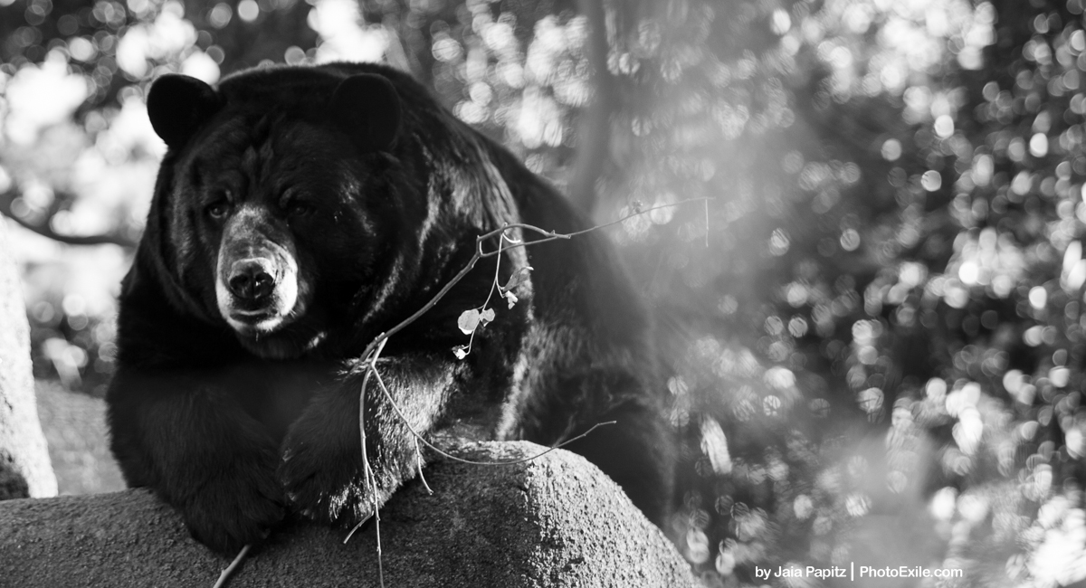 But, of course — Landscape / Nature series, photograph by Jaia Papitz