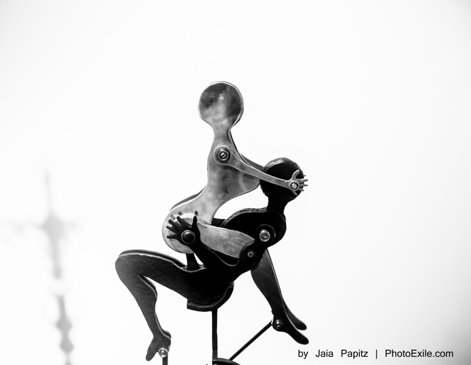 Black & White And That Shadow — Nature's kitsch series, photograph by Jaia Papitz