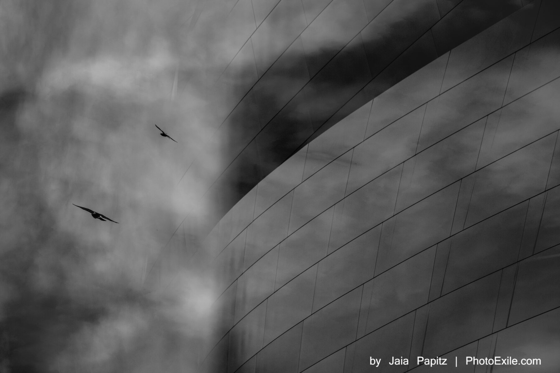Disney Wall 0473 — Nature's kitsch series, photograph by Jaia Papitz