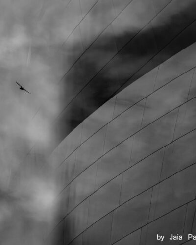 Disney Wall 0473 — Nature's kitsch series, photograph by Jaia Papitz