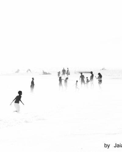 Nature's kitsch-Conversation — Nature's kitsch series, photograph by Jaia Papitz