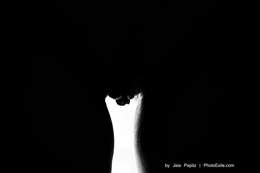 Bone of Light — Nude series, photograph by Jaia Papitz
